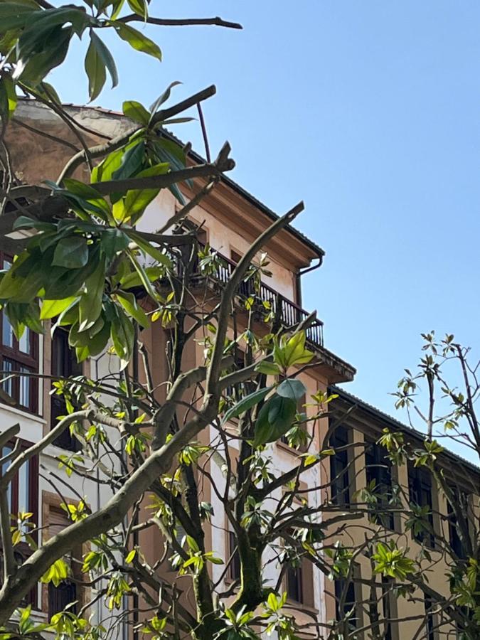 Apartamento Wamba - La Catedral Oviédo Exterior foto